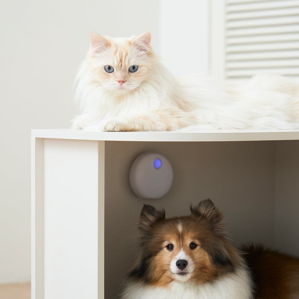 DUIT Duit PUREDA cat toilet deodorizer